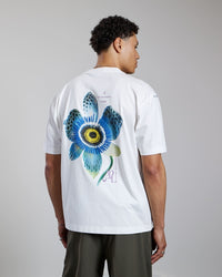 AEDEN T-SHIRT LUCERIS TEE OFF WHITE