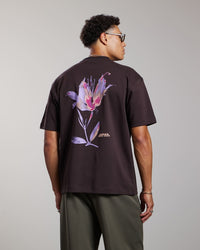 AEDEN T-SHIRT MANOLO TEE D-BRUIN