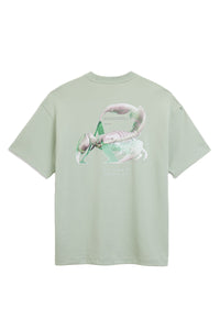 AEDEN T-SHIRT NEO TEE L-GROEN