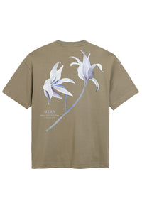 AEDEN T-SHIRT MISTY TEE GROEN